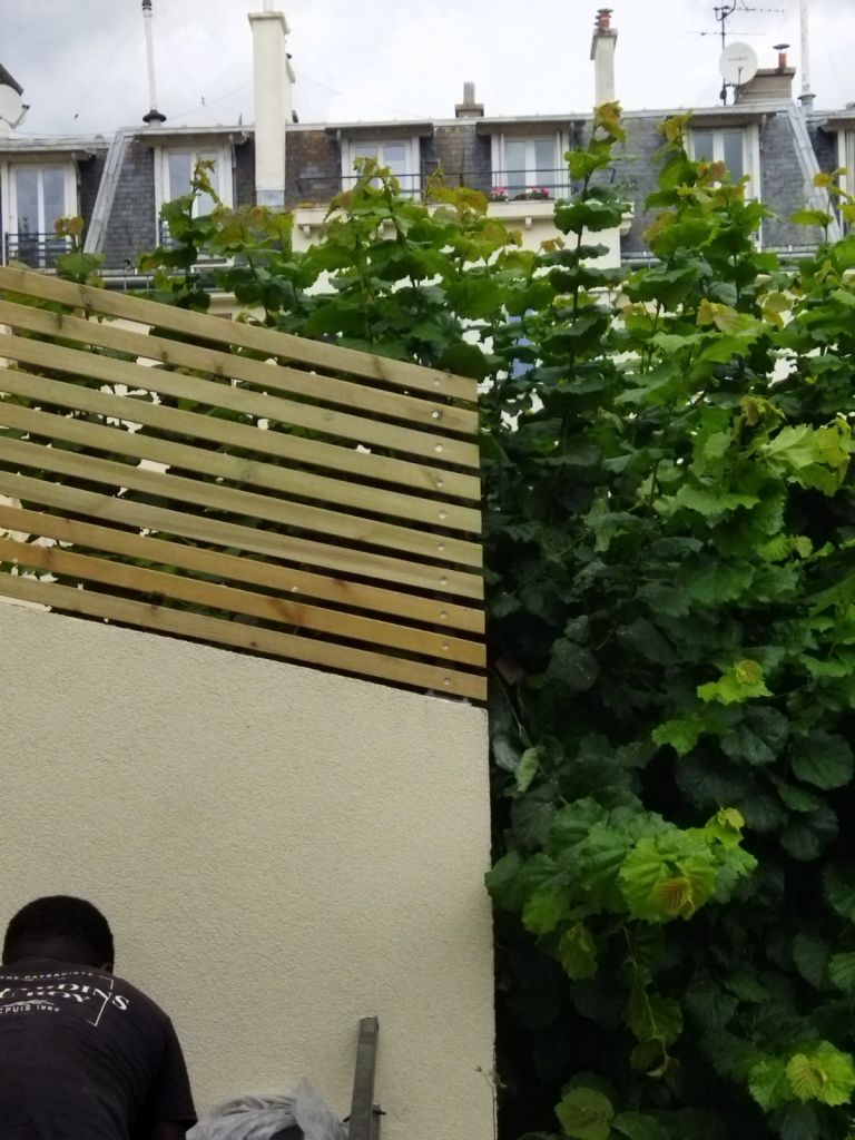 Palissades bois - Paysagistes Les Jardins du Roy Paris