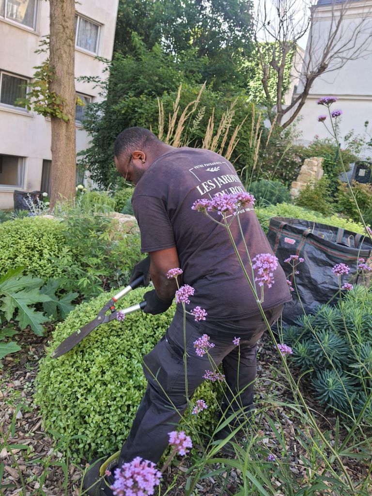 Entretien - Paysagistes Les Jardins du Roy Paris