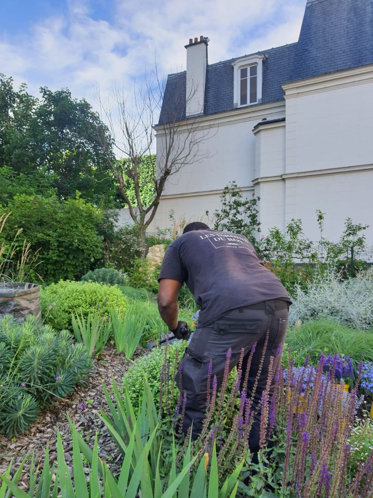 Entretien - Paysagistes Les Jardins du Roy Paris