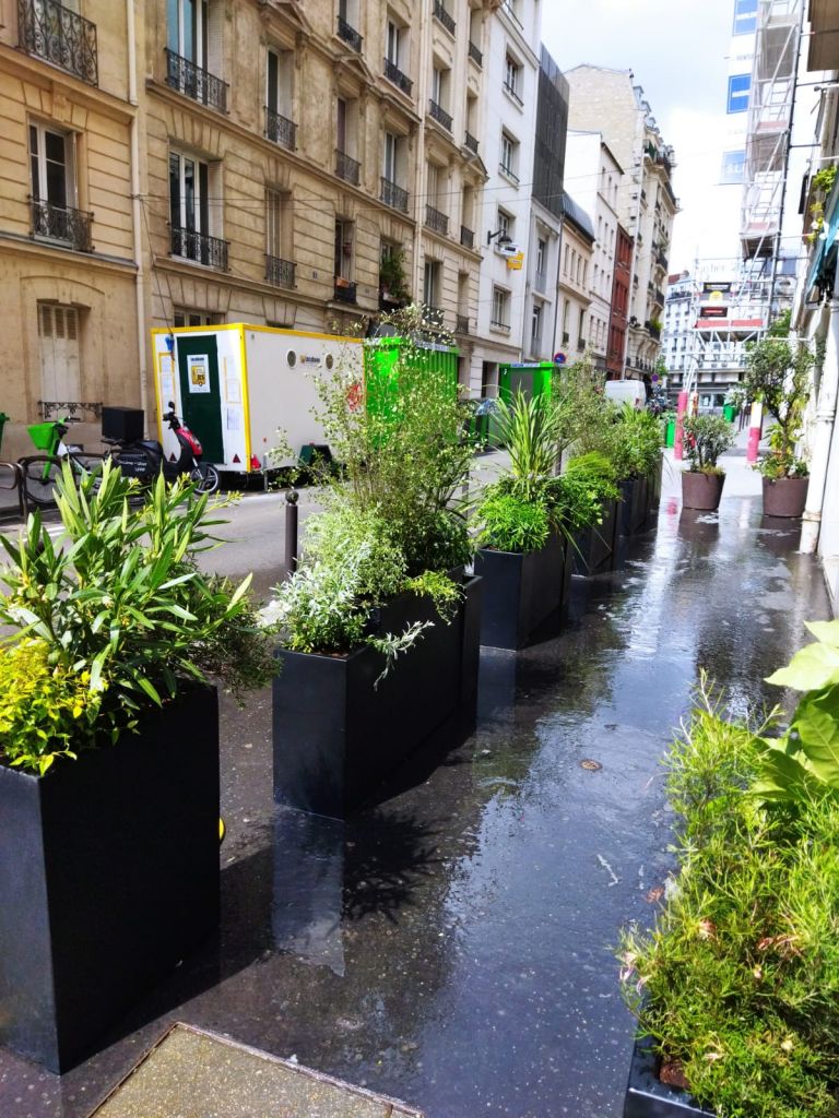 Plantations - Paysagistes Les Jardins du Roy Paris