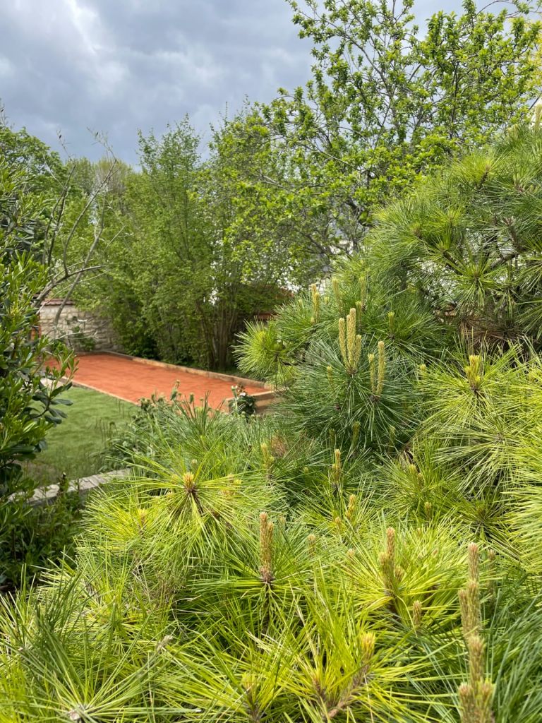 Terrain de pétanque - Paysagistes Les Jardins du Roy Paris