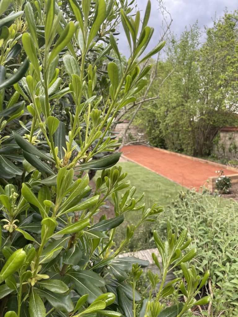 Terrain de pétanque - Paysagistes Les Jardins du Roy Paris